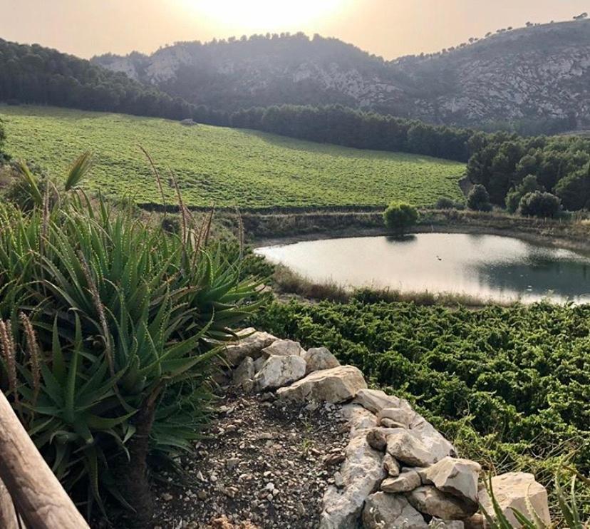 Agriturismo Tenute Pispisa Segesta Calatafimi Dış mekan fotoğraf