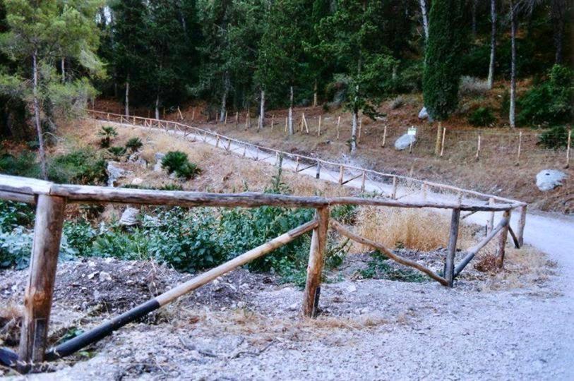 Agriturismo Tenute Pispisa Segesta Calatafimi Dış mekan fotoğraf