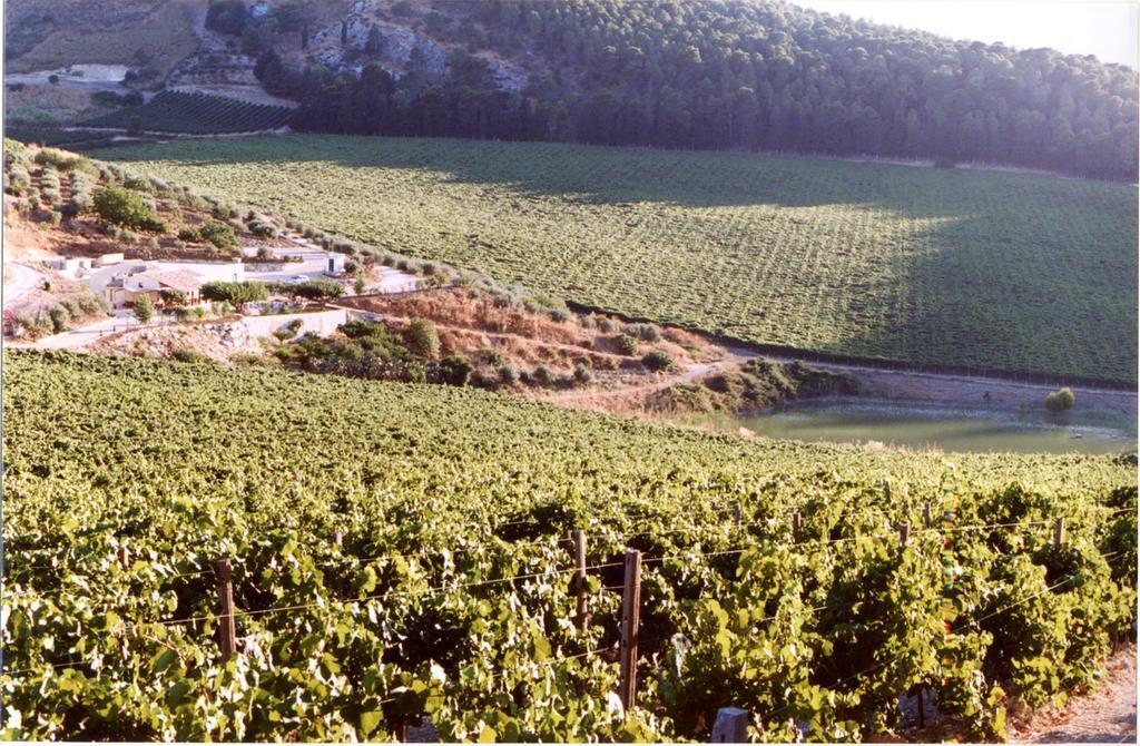 Agriturismo Tenute Pispisa Segesta Calatafimi Dış mekan fotoğraf