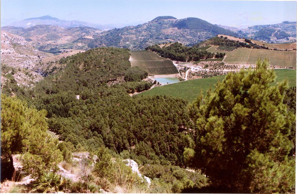Agriturismo Tenute Pispisa Segesta Calatafimi Dış mekan fotoğraf