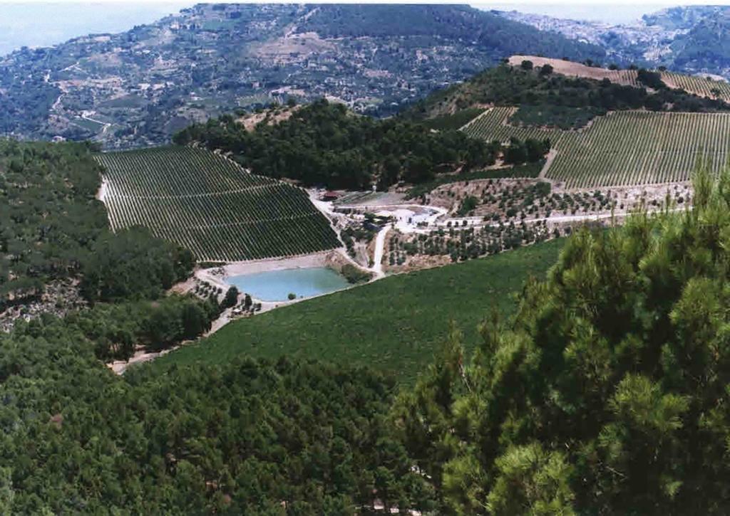 Agriturismo Tenute Pispisa Segesta Calatafimi Dış mekan fotoğraf