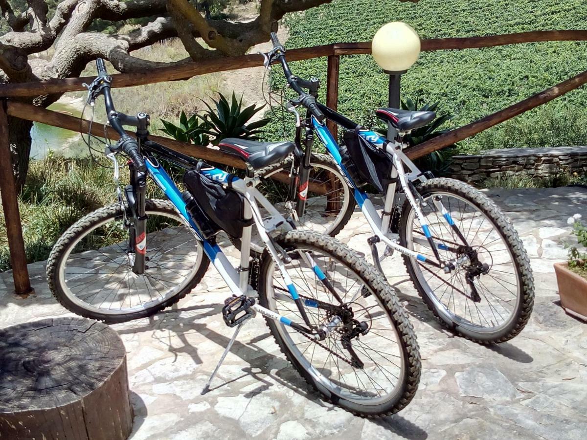 Agriturismo Tenute Pispisa Segesta Calatafimi Dış mekan fotoğraf